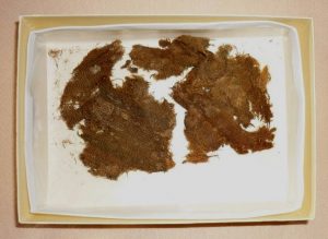 Fabric fragments from the grave of Pilgrim Myles Standish.